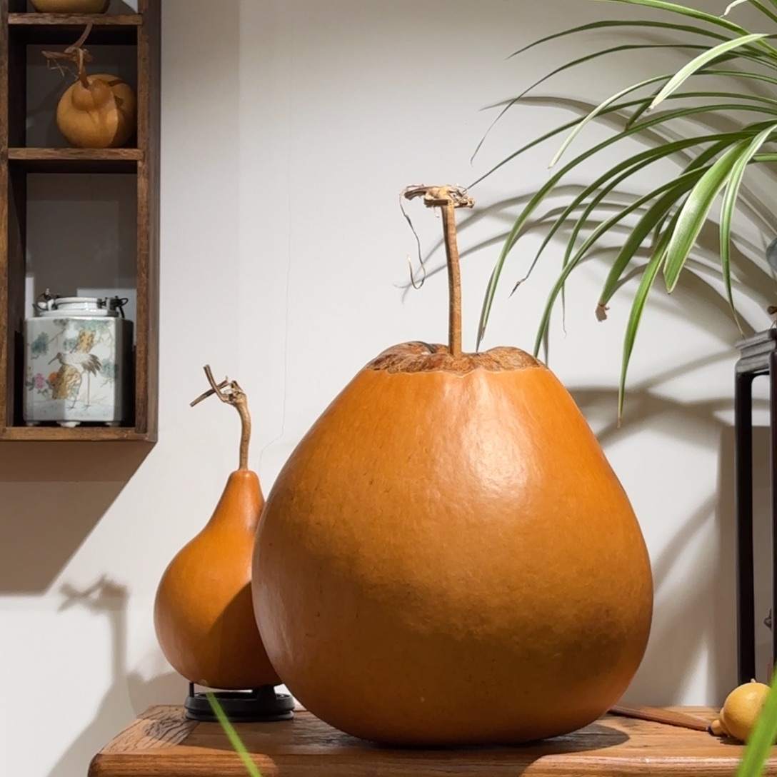 树***葫芦葫芦葫芦葫芦