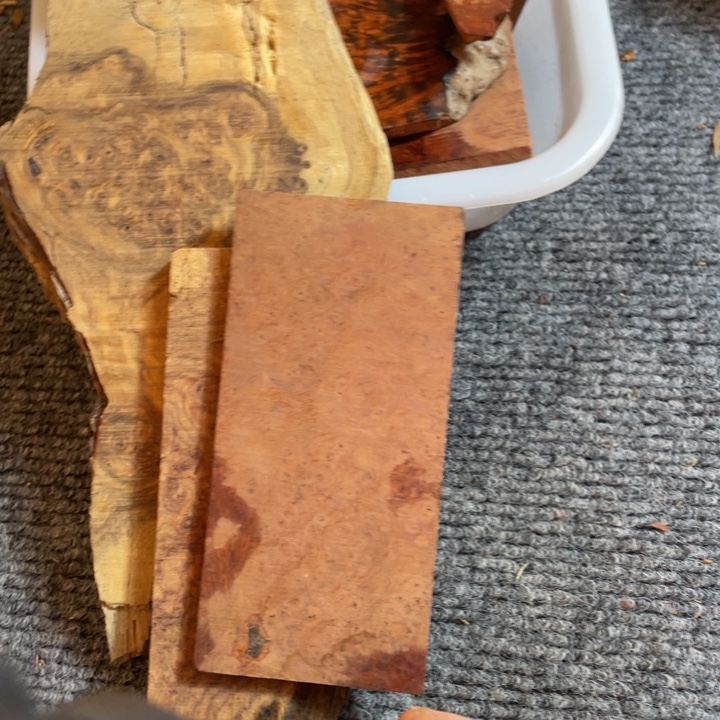 大果紫檀刺猬紫檀原木原料直播间真实展示