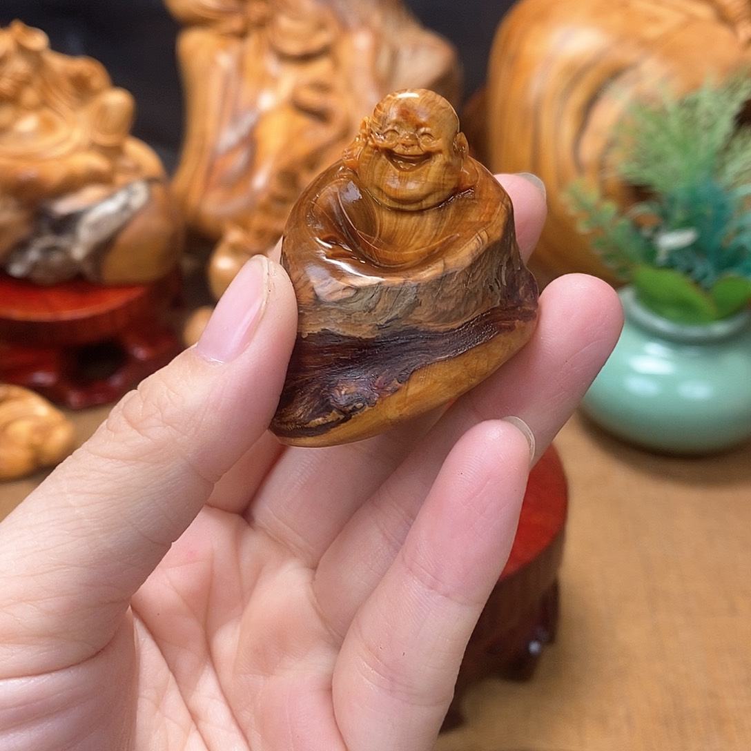 柏木（崖柏）一物一图