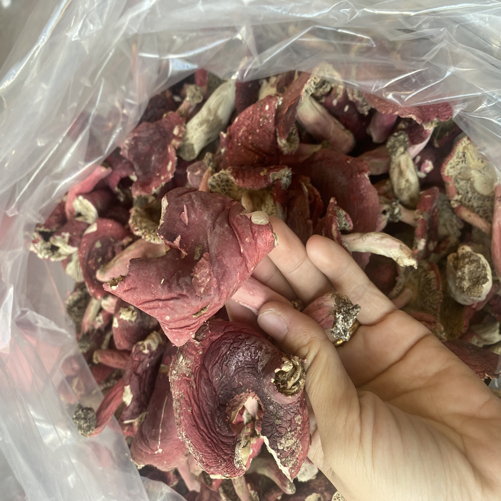 【宁化美莲】三明宁化本地红菇开菇煮面蒸蛋花