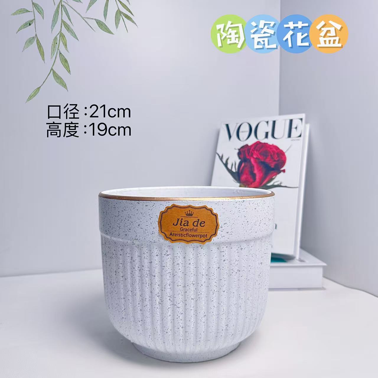 陶瓷花盆白色罗马柱中号口径21高度19分蝴蝶兰君子兰发财树金钱