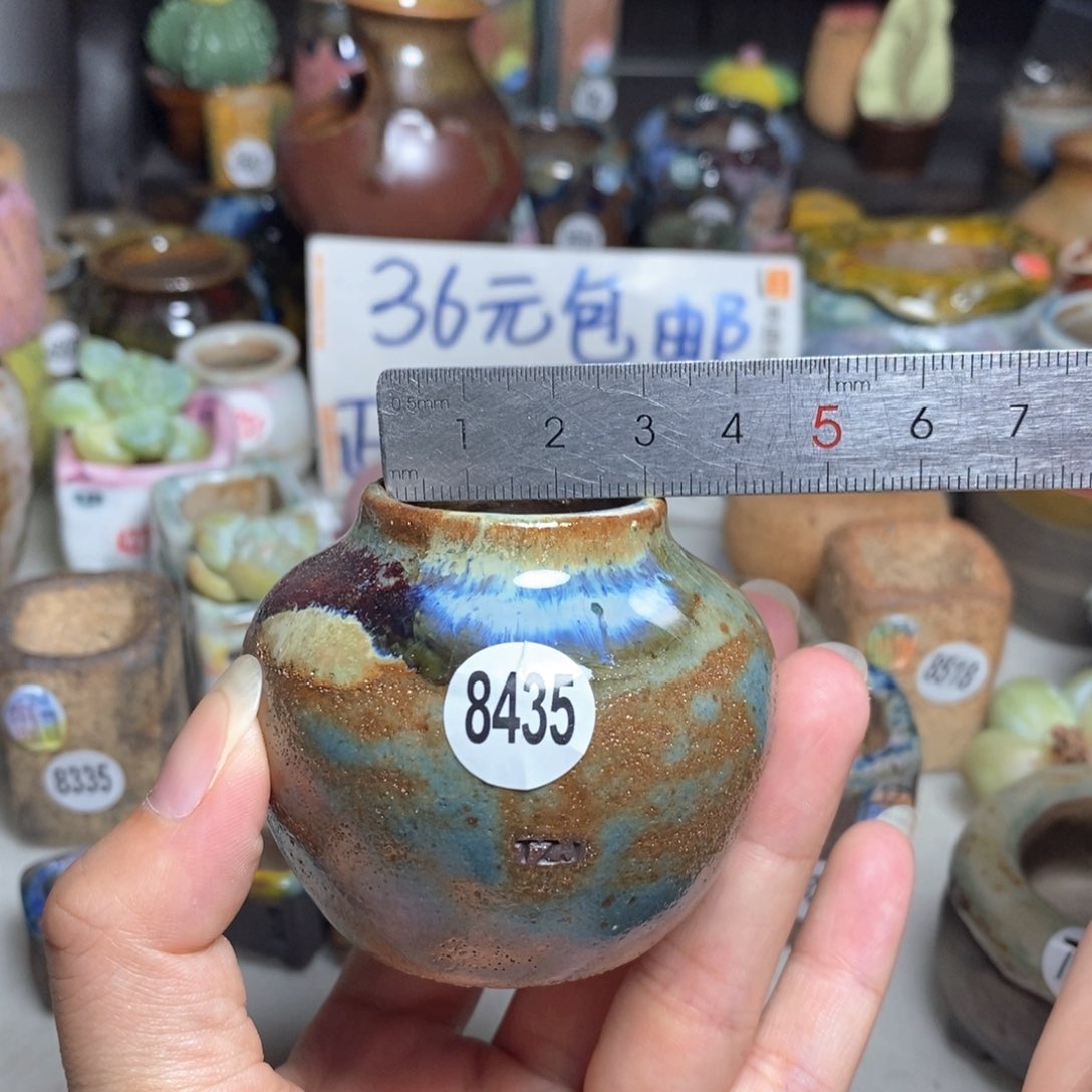 拍5送一个小礼物