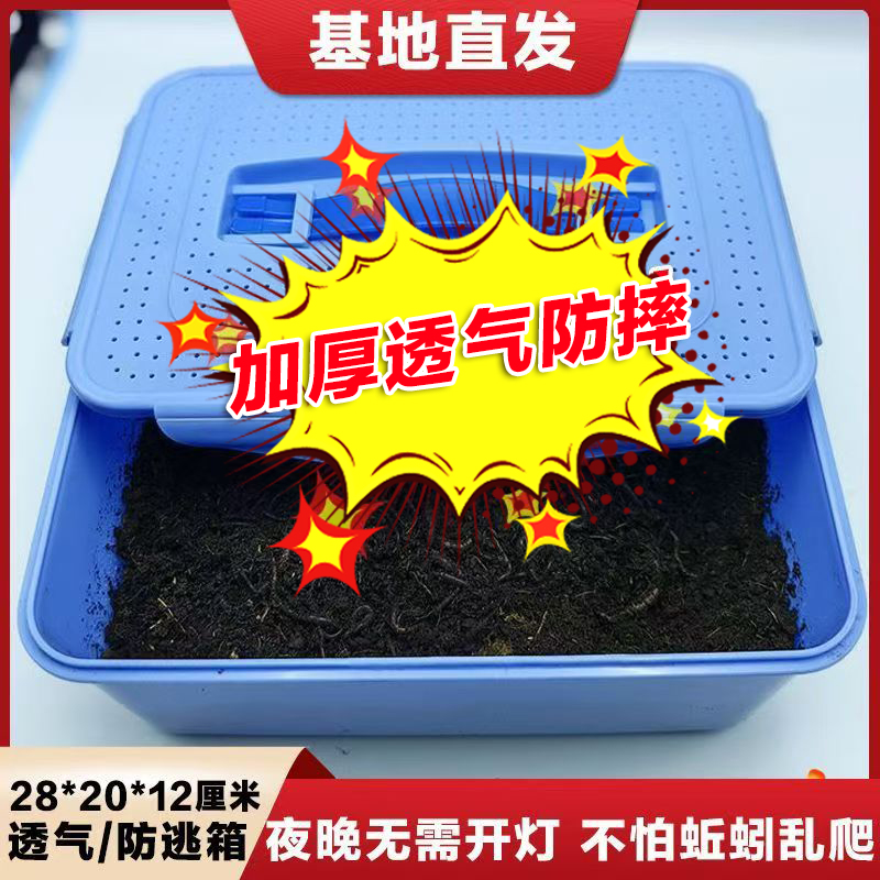 牛粪喂养红蚯蚓养殖箱钓鱼垂钓鱼饵鱼食腥味鲜活蚯蚓暂养箱包活