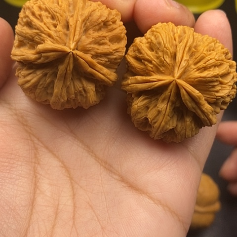 文玩核桃把件38尺四棱