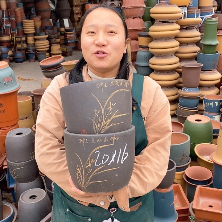 紫砂花盆盆栽花卉苗木种植