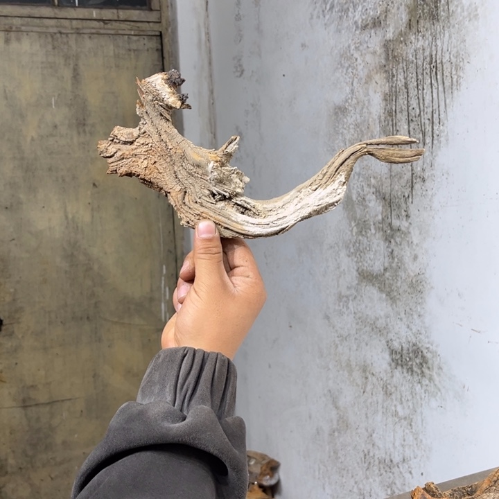 凝***空柏木崖柏等自然资源和生态资源丰富多彩