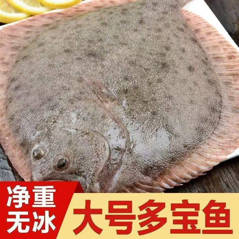 1.4斤多宝鱼鲜活冷冻鲽鱼无刺海鱼扁口鱼超大整条海鲜水产
