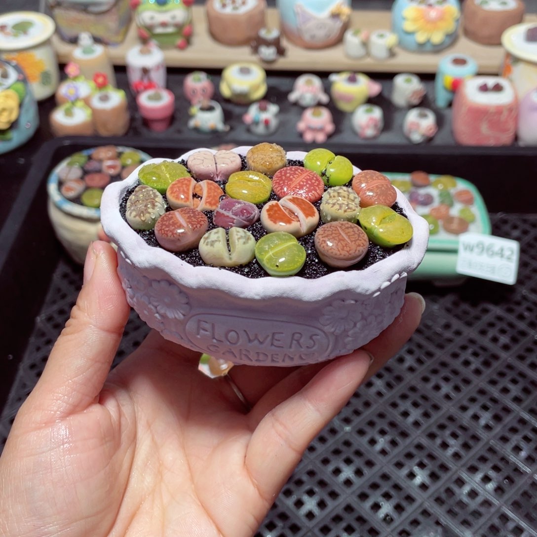 w9644 带盆土发货-零下地区拍保温箱