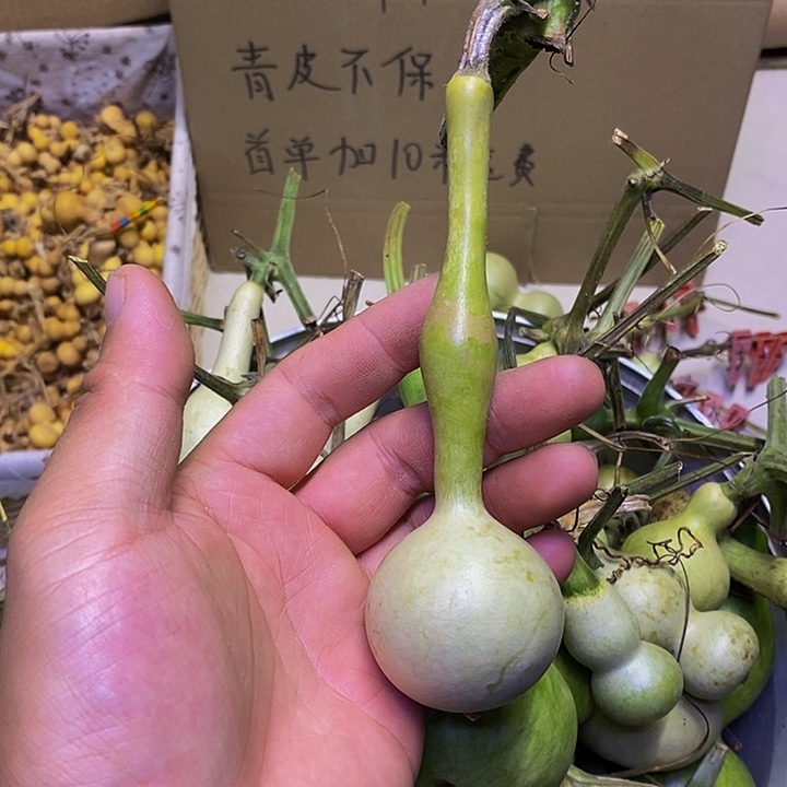 记**l长嘴哈哈哈哈哈哈哈哈哈哈哈哈好