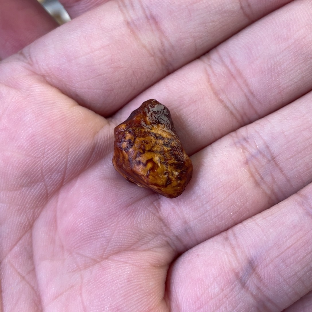 孤***王定制琥珀天然琥珀