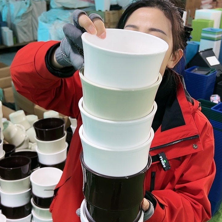 特价竹节口13.6高14白色带托5只