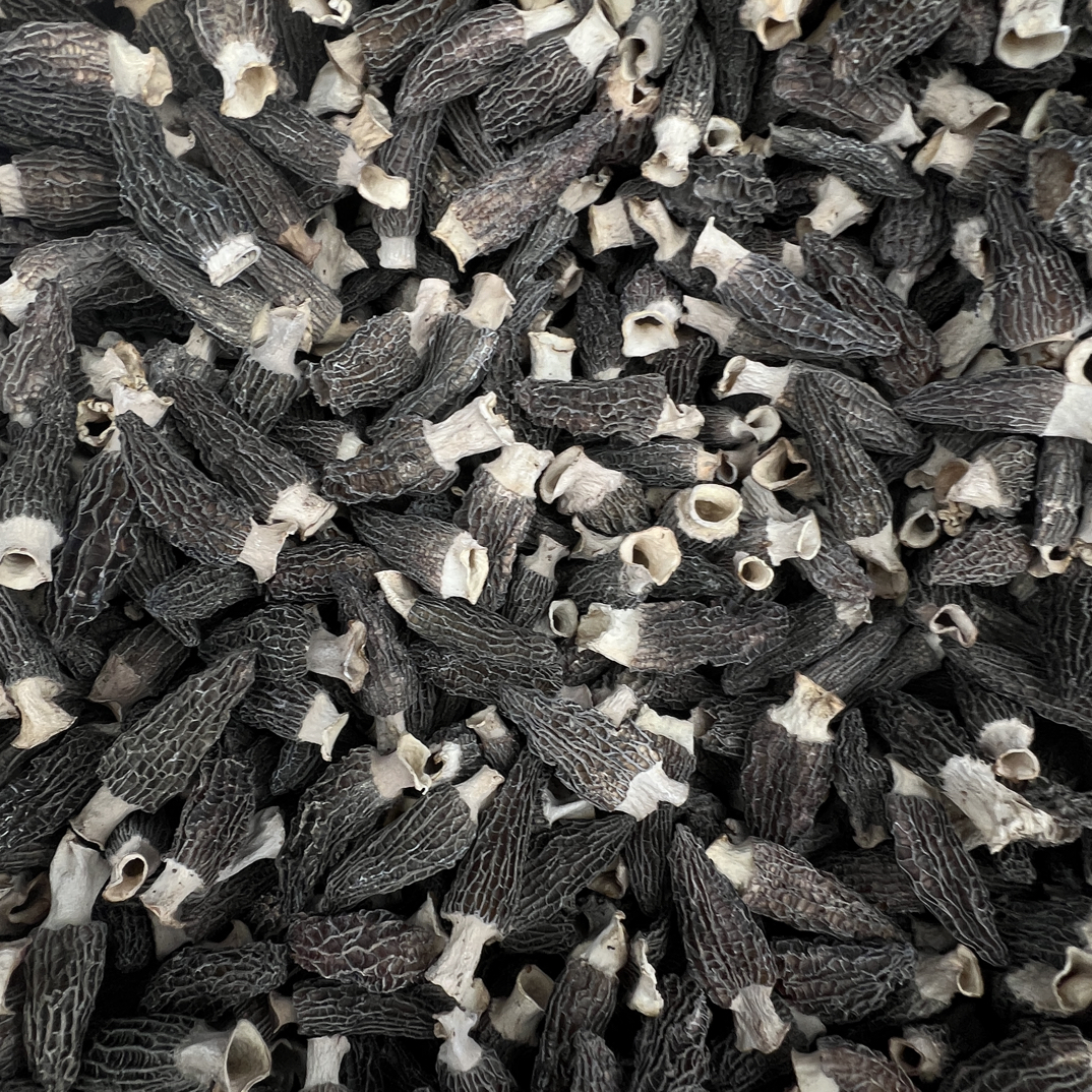 开播福利六妹羊肚菌1221