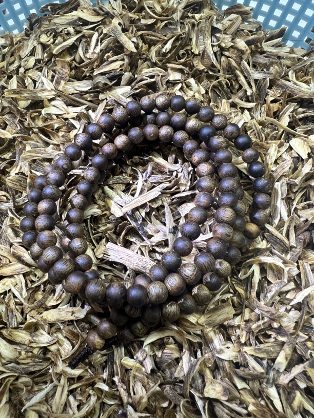 沉香奇楠沉香卡5金沙叶多样性发1️⃣