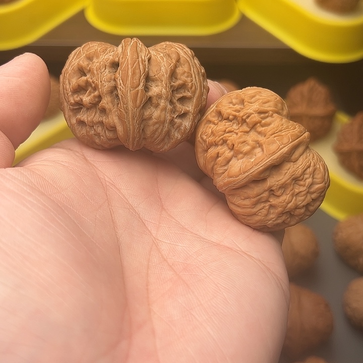 47尺精配头货平谷元宝