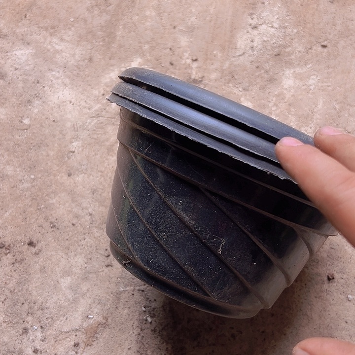 黑色螺纹盆口径20高11发30个