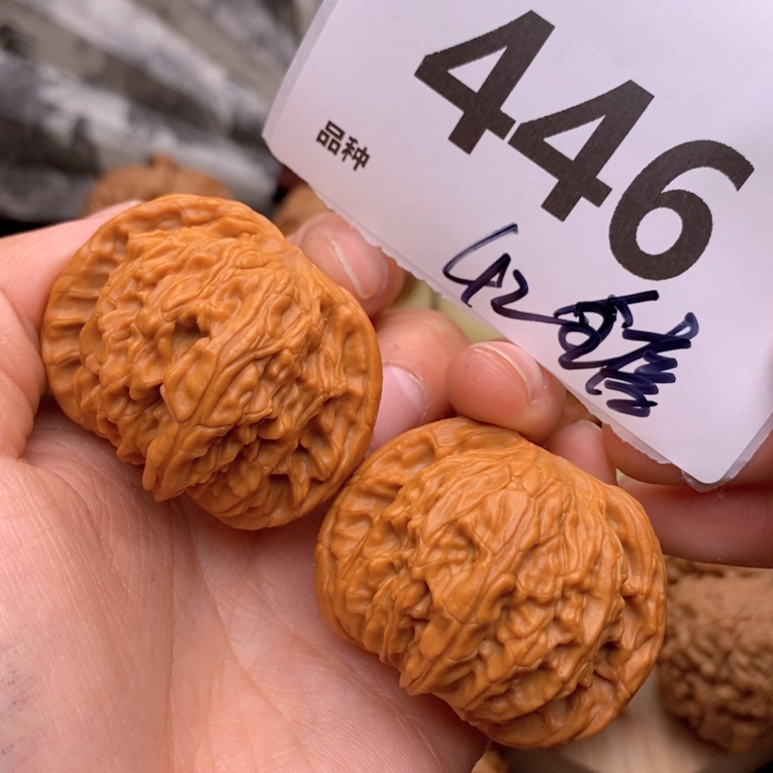 文玩核桃把件446号42全磨