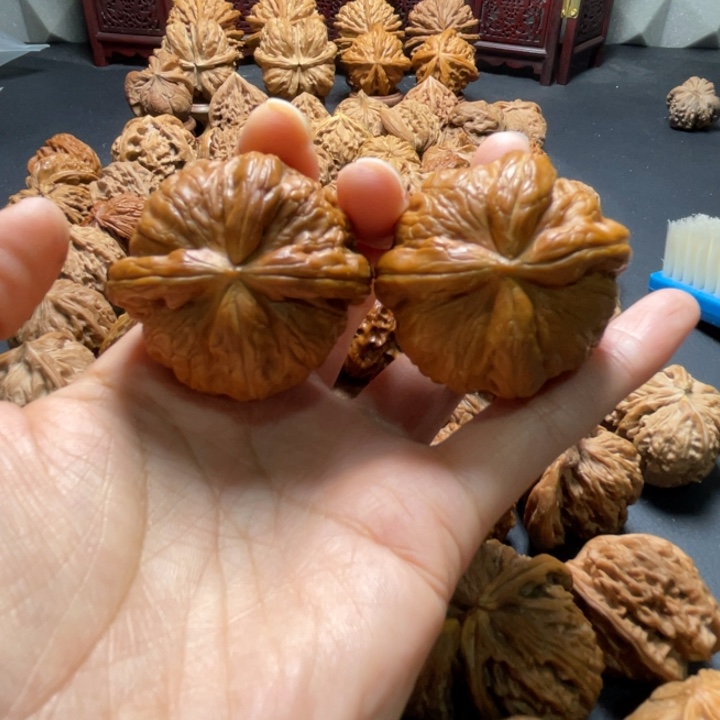 ?元宝两棱挂角42尺寸核桃哈哈哈哈哈哈