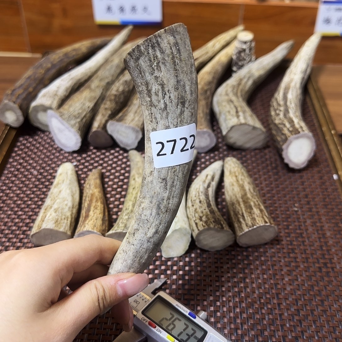 手串/手链鹿骨角尖2722