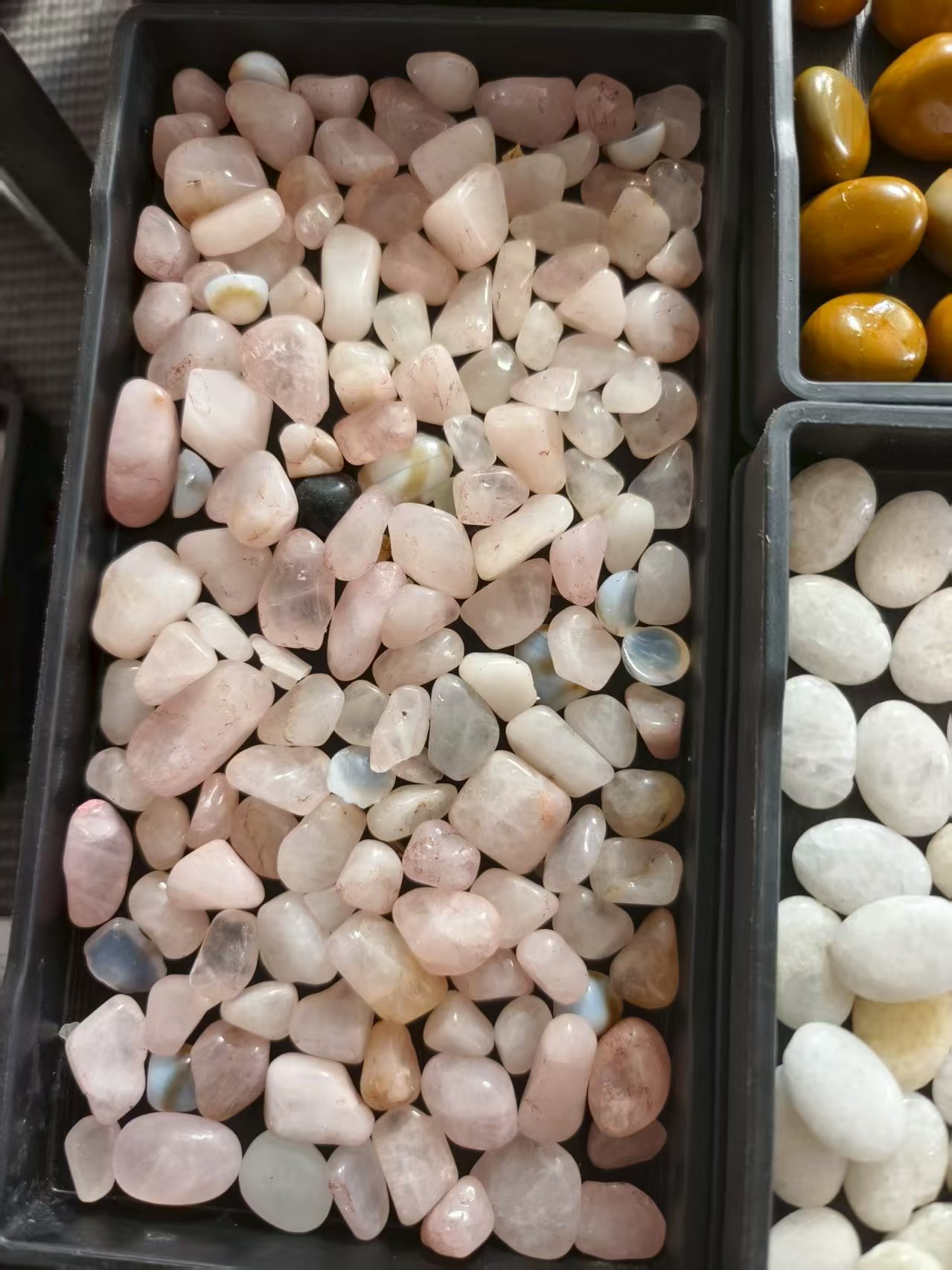 阿拉善玛瑙盆景石奇石玛瑙