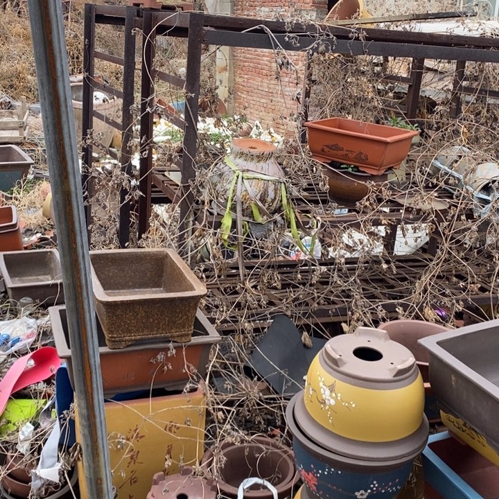 红陶紫砂花盆里面摆放植物