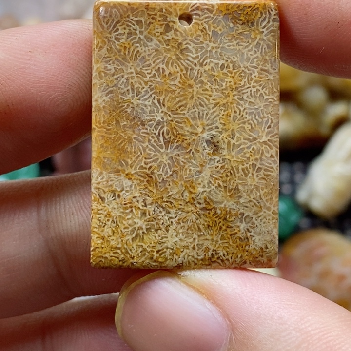 硅化珊瑚（珊瑚玉）颈饰未镶嵌