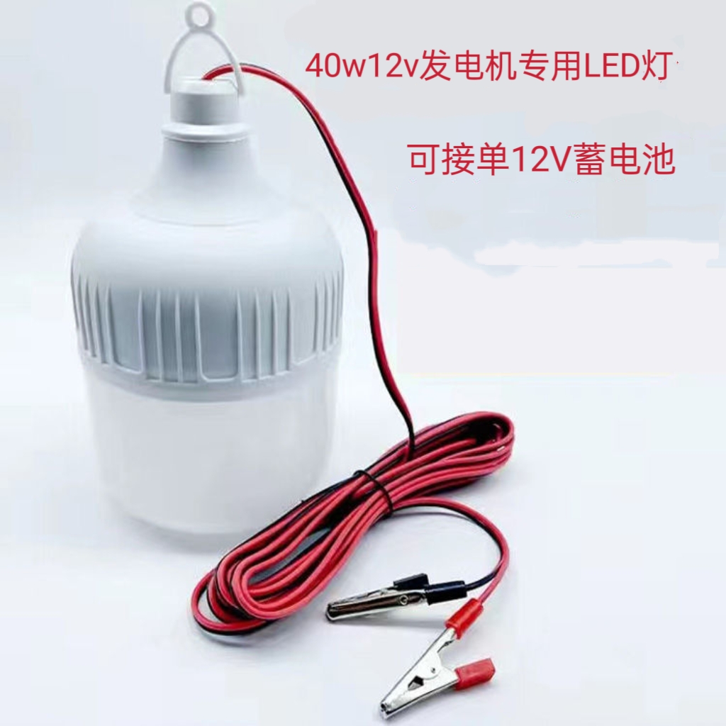 （2个装）50w12v发电机专用LED灯两个起包邮