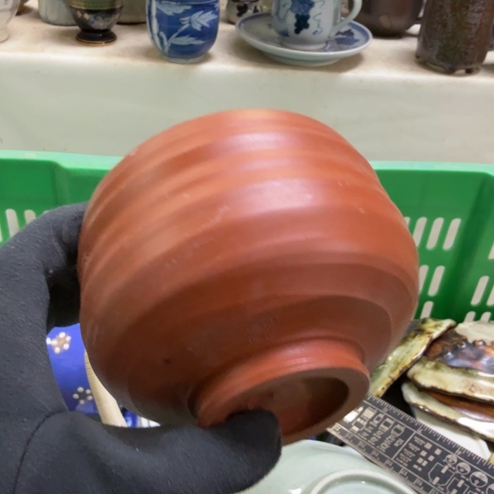 瓷片开播啦…开播啦！