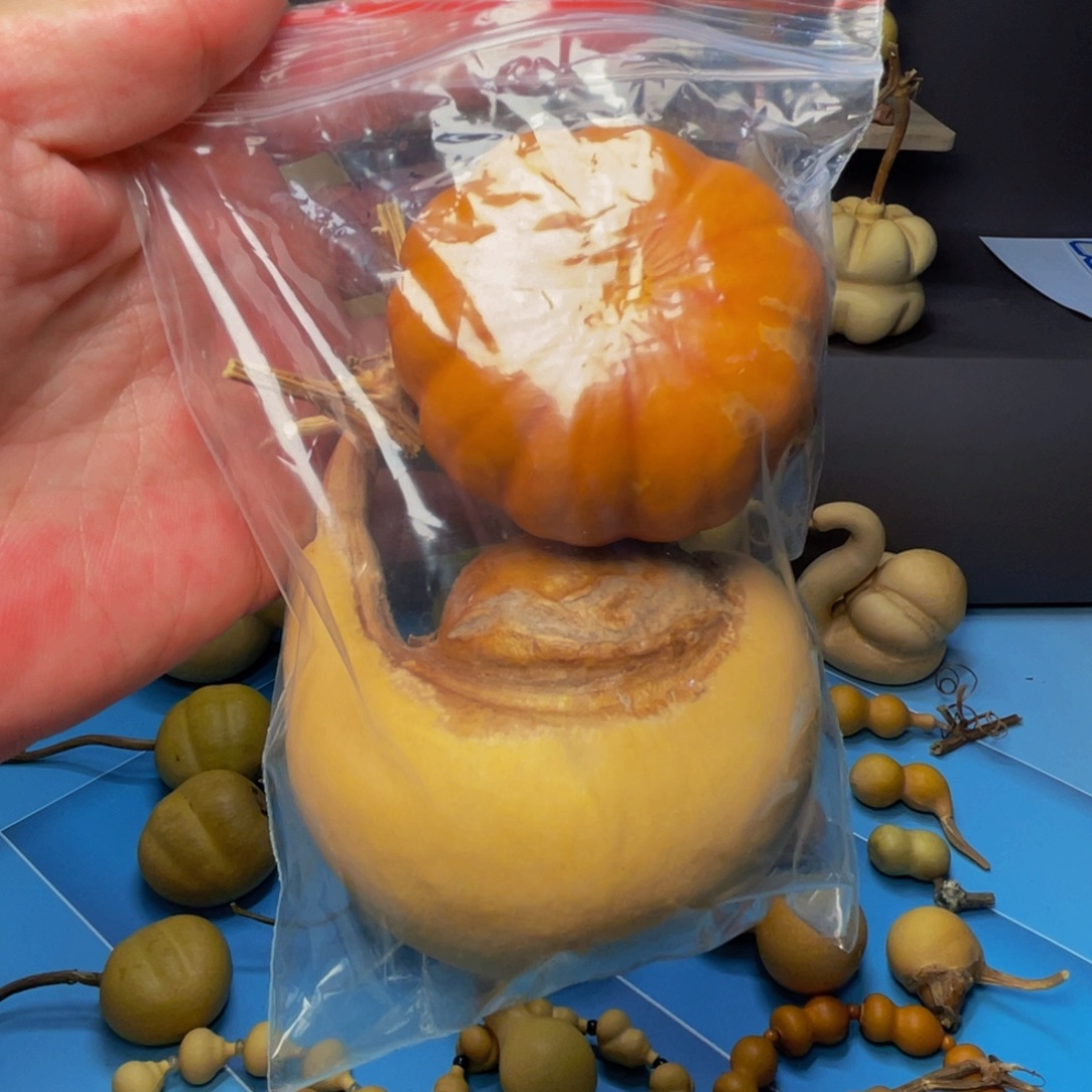 粉***肉木啊啊啊啊啊啊啊啊啊