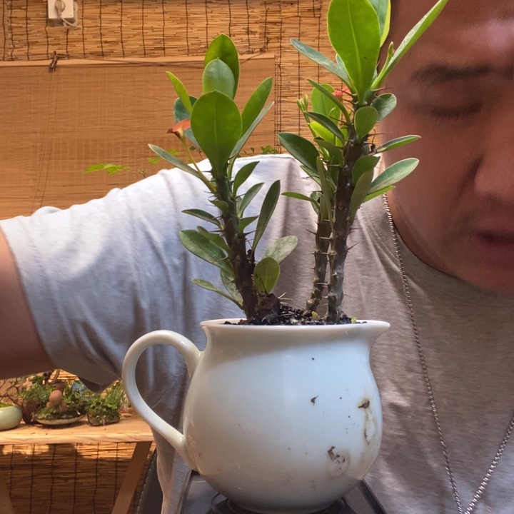 一物一拍所见即所得394