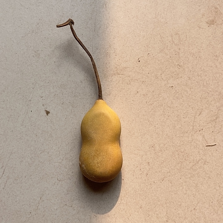 e fj k d fo j f f f h k