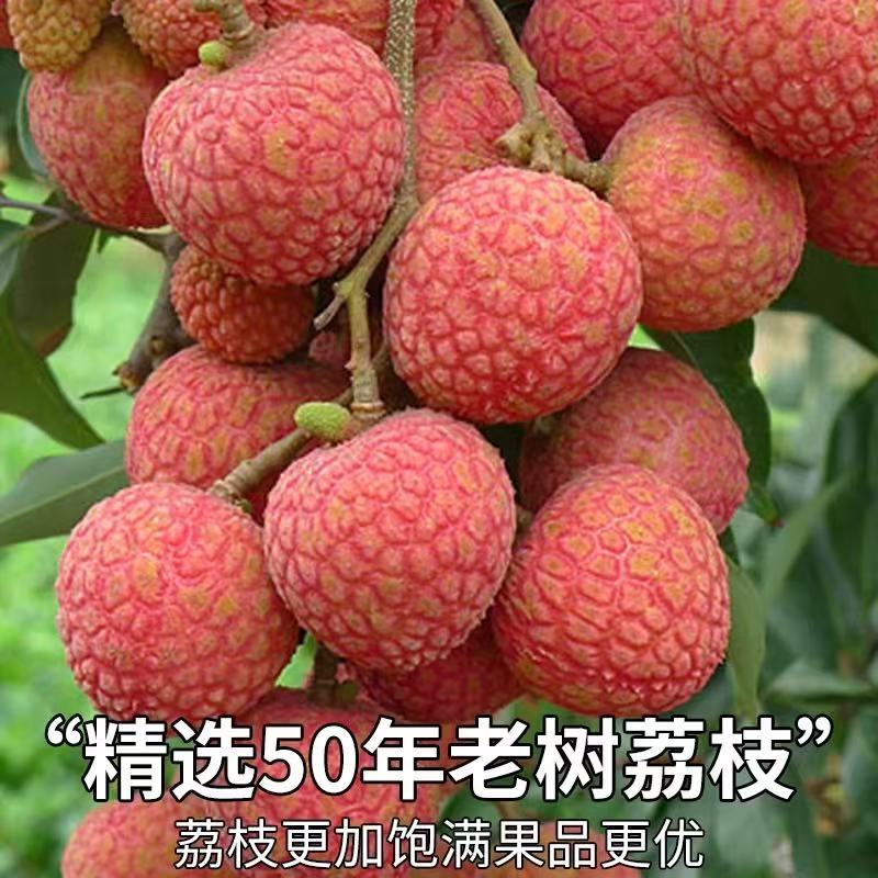 双肩玉荷包荔枝4.5斤；新鲜现摘现发顺丰，水果整箱包邮荔枝同城送北京市