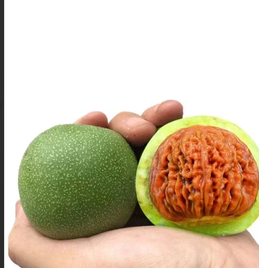 文玩核桃青皮直播链接