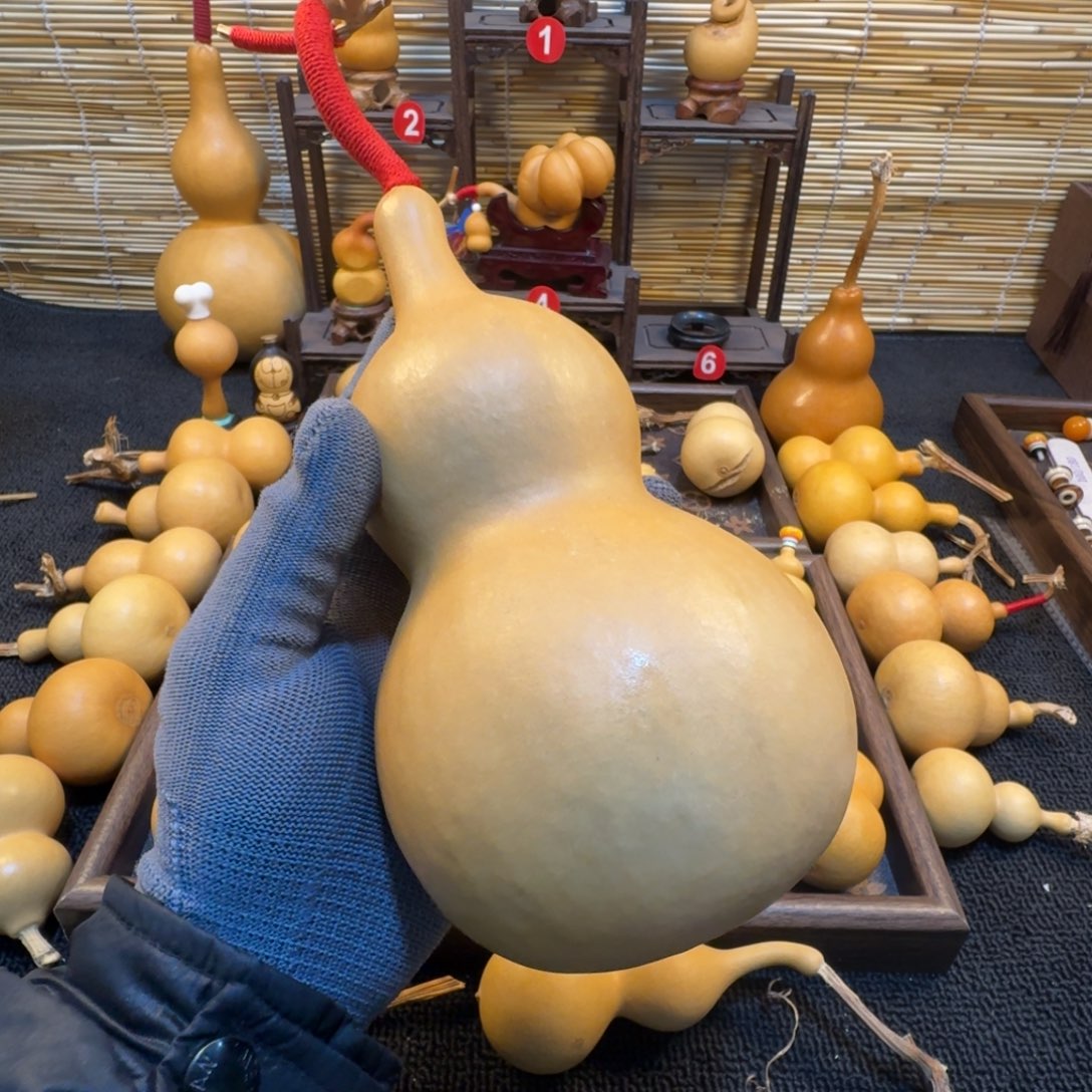 先***炁好好好好好好好好