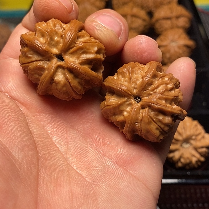 木***学把件文玩核桃36尺玉玺四棱