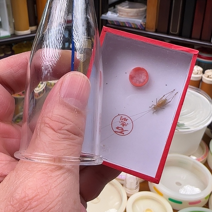 大***傅我也不知道我为什么要这样