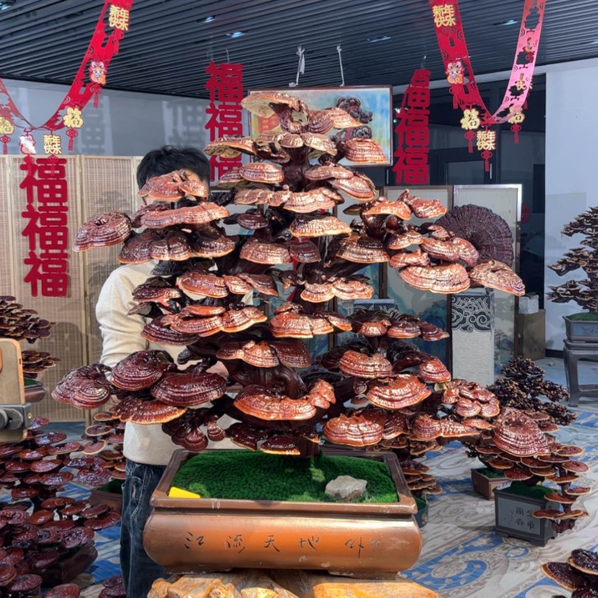 【闪购商品】御*柠88888