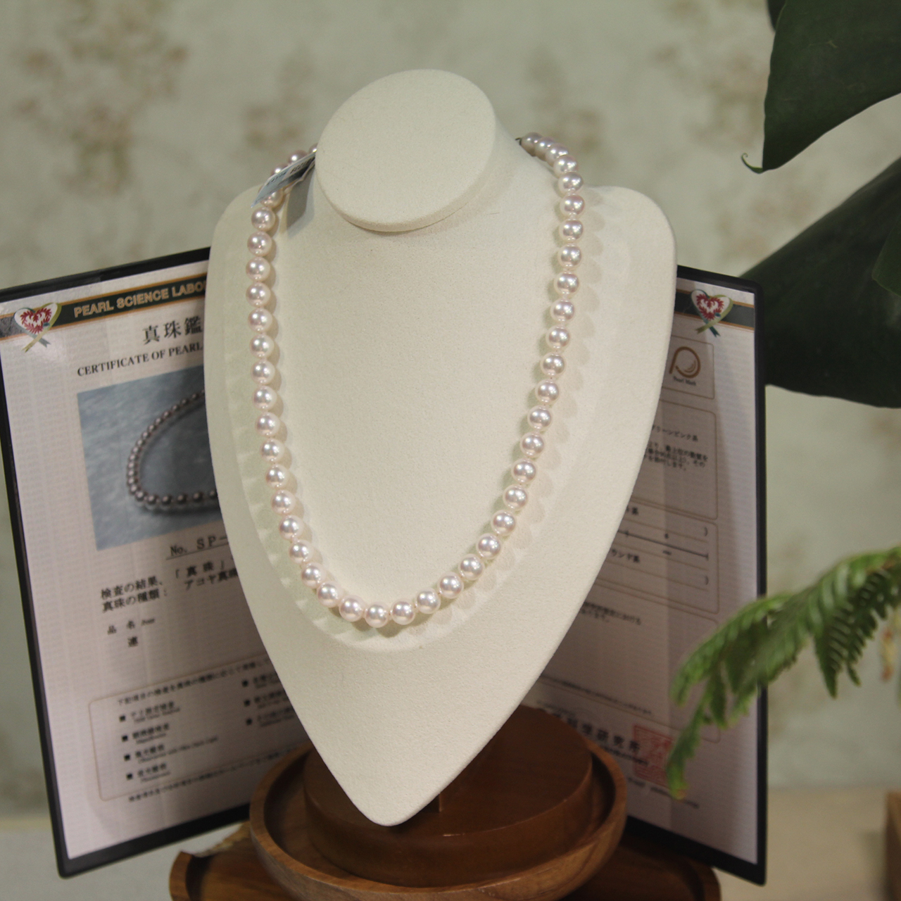 T【天女】珍藏版海水akoya珍珠项链天花板系列 8-8.5mm 带天女大证