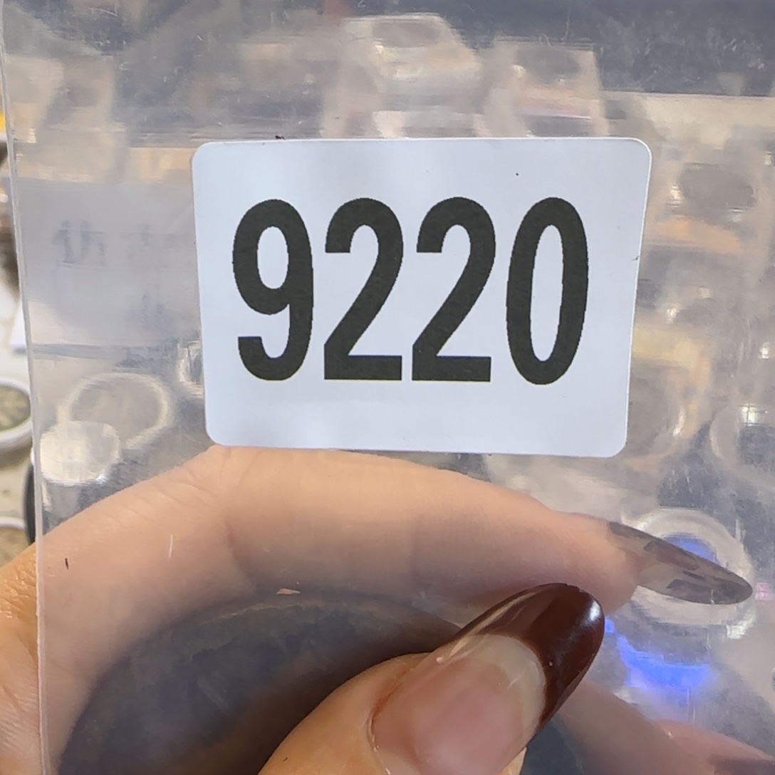 新号开播福利多多