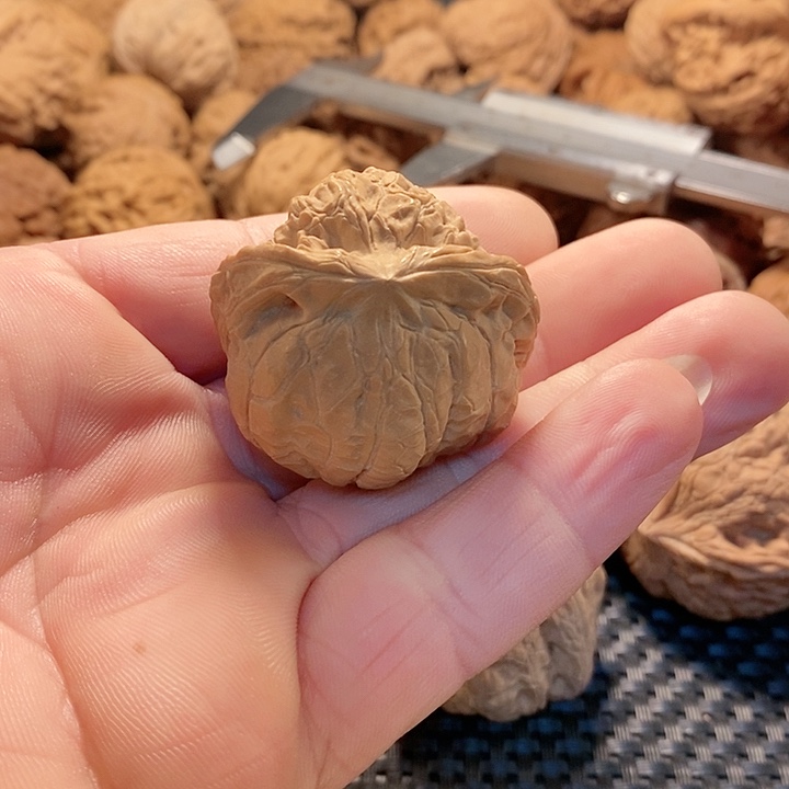 把件文玩核桃南瓜墩蛇头