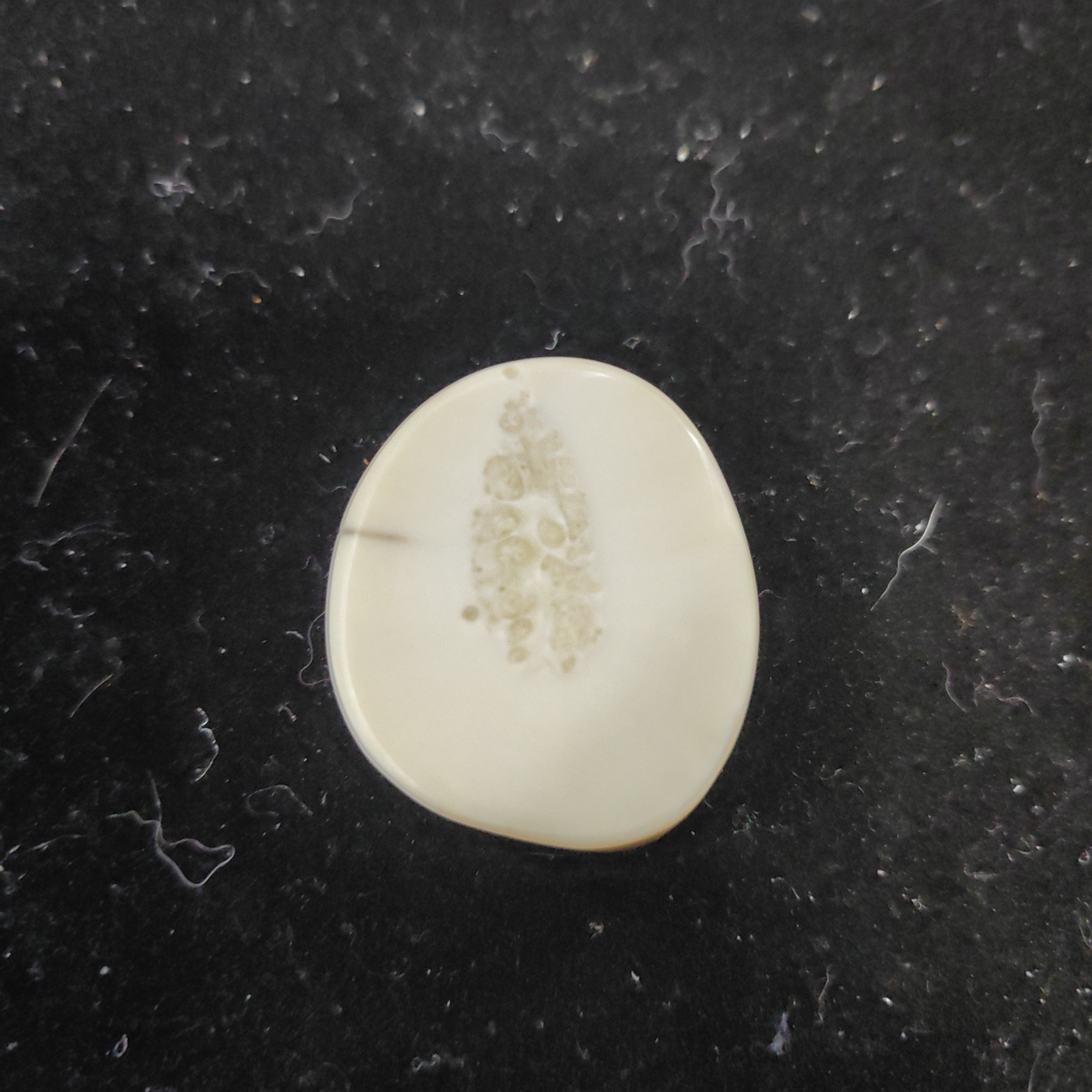 猛犸猛犸虬饼子WT435