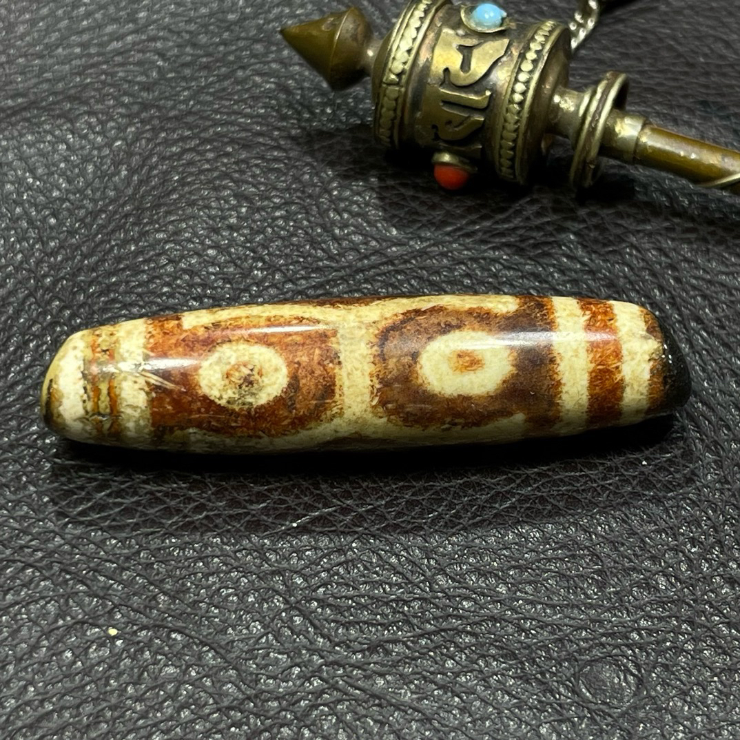 金刚护法红肉四眼珠珠