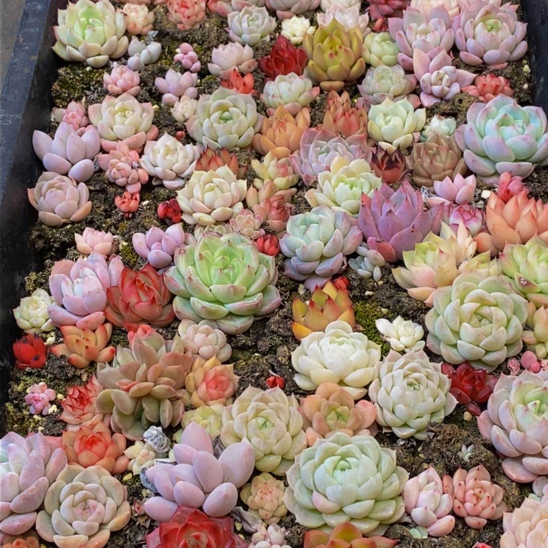 109多人在一起的时候