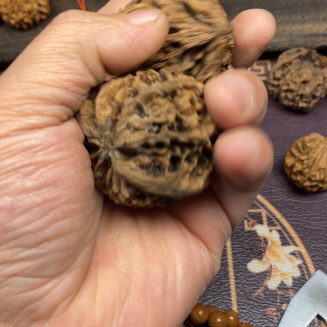 巳*秦岭南侧和东北北部部分的