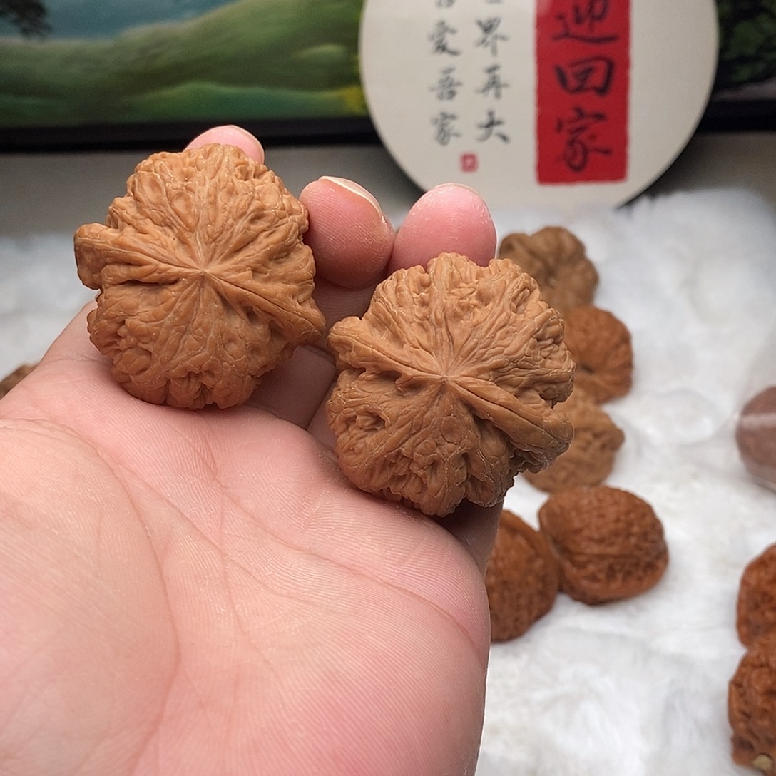 文玩核桃吊坠45大粗筋