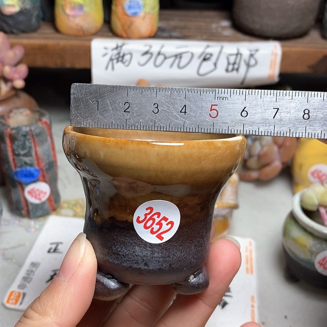 红陶拍5送一个小