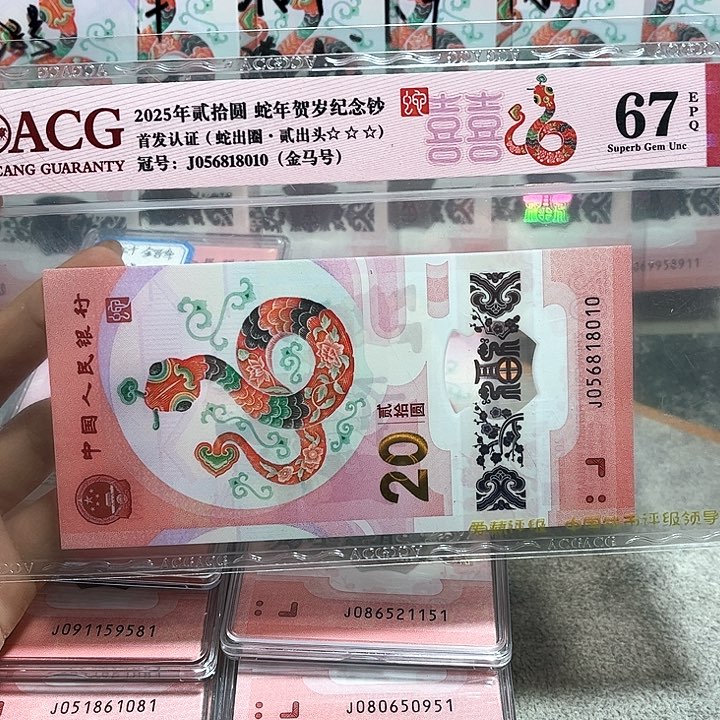 塑料056818010。。。。。金马号 单5