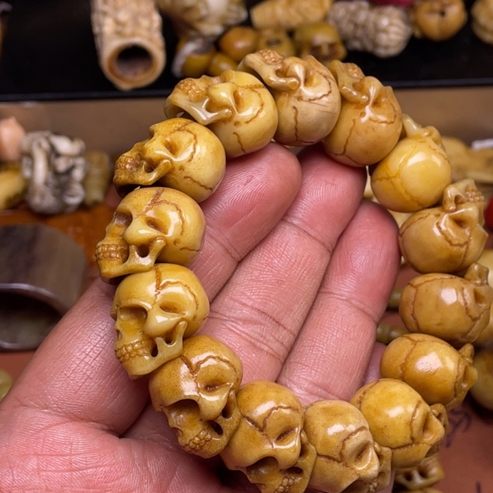 驼骨其他人工养殖