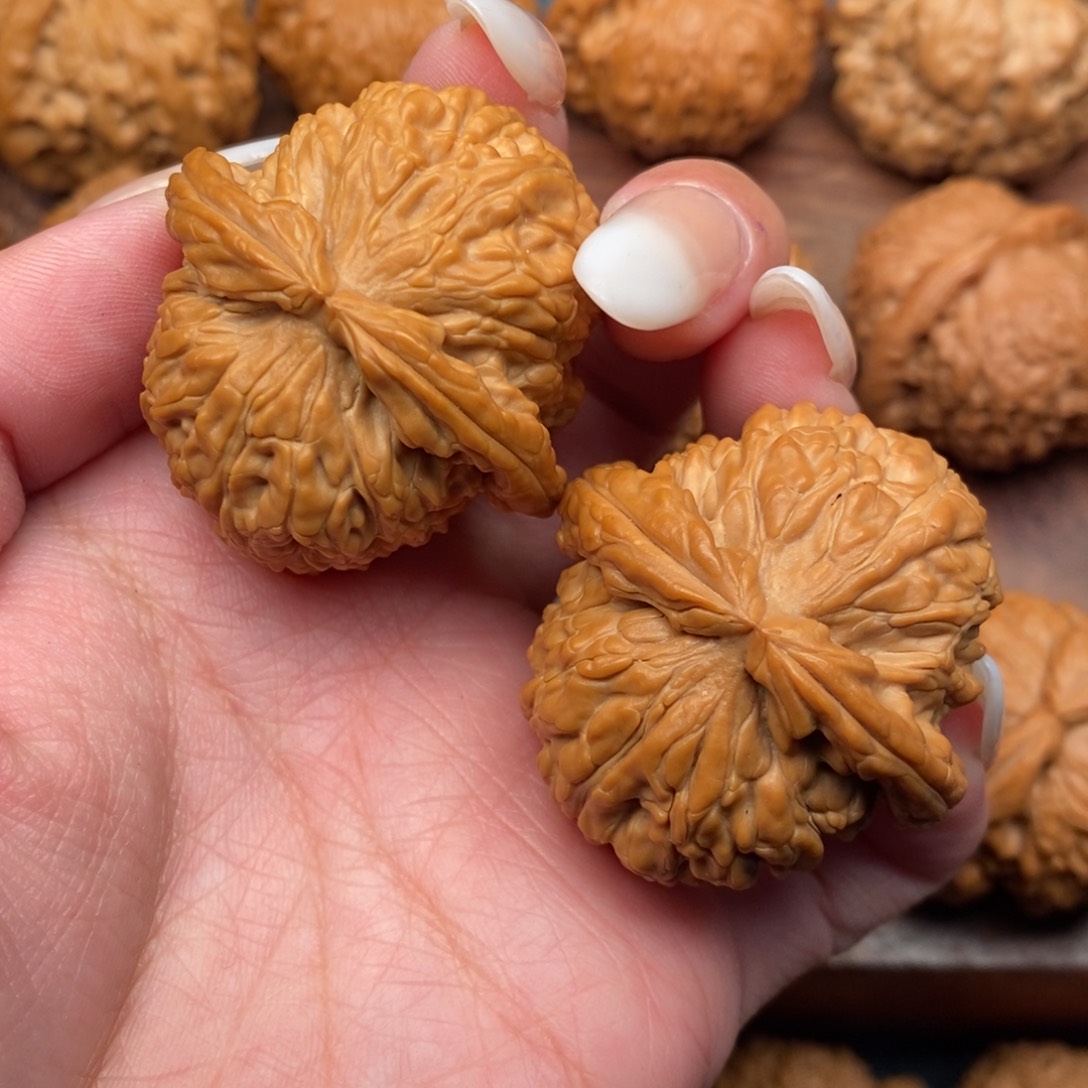 文玩核桃把件全品。红皮大肚球白39