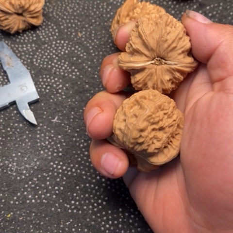 文玩核桃把件三角白5.5