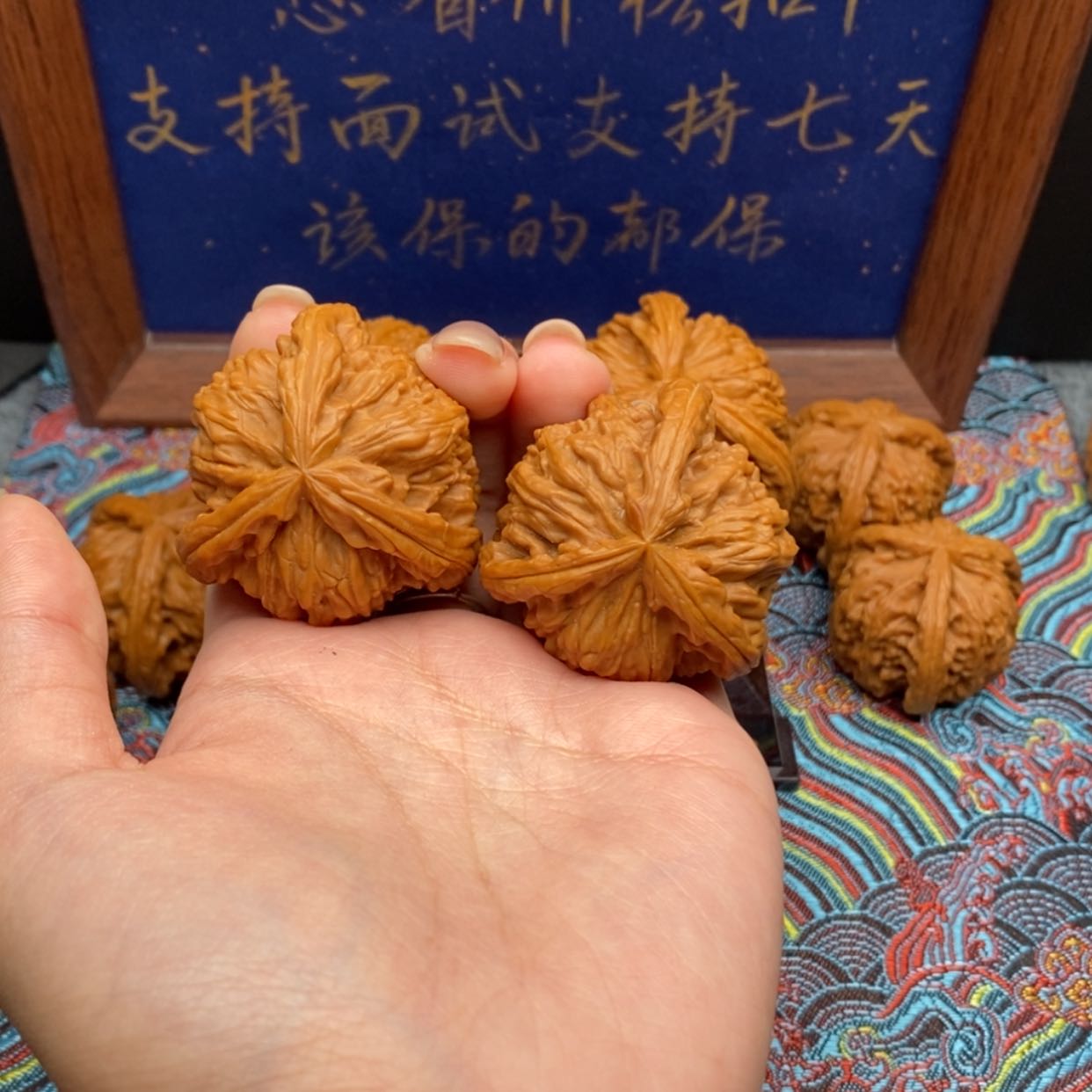 【闪购商品】穹*白狮